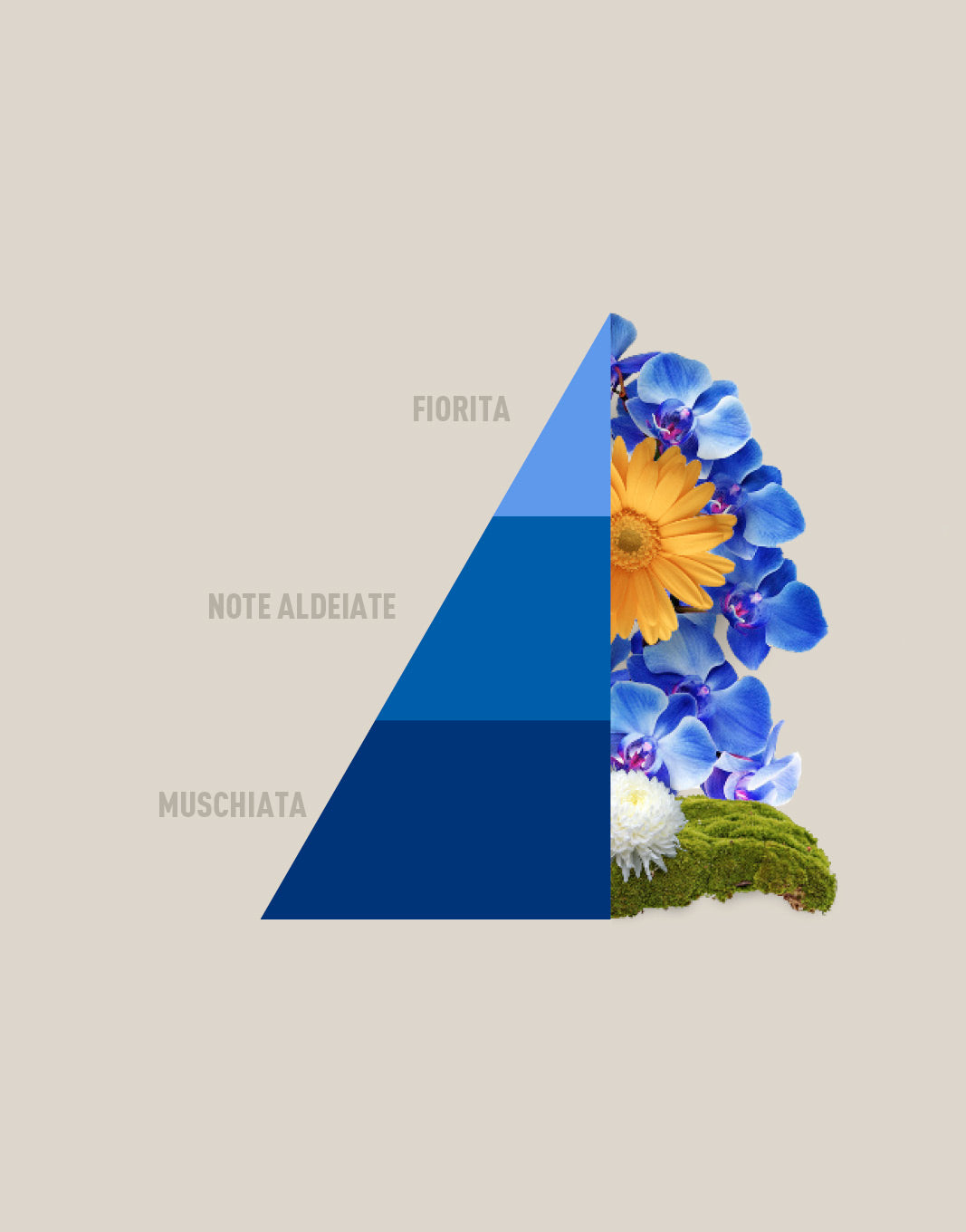 Essenza Blue Fior di Loto | Horomia