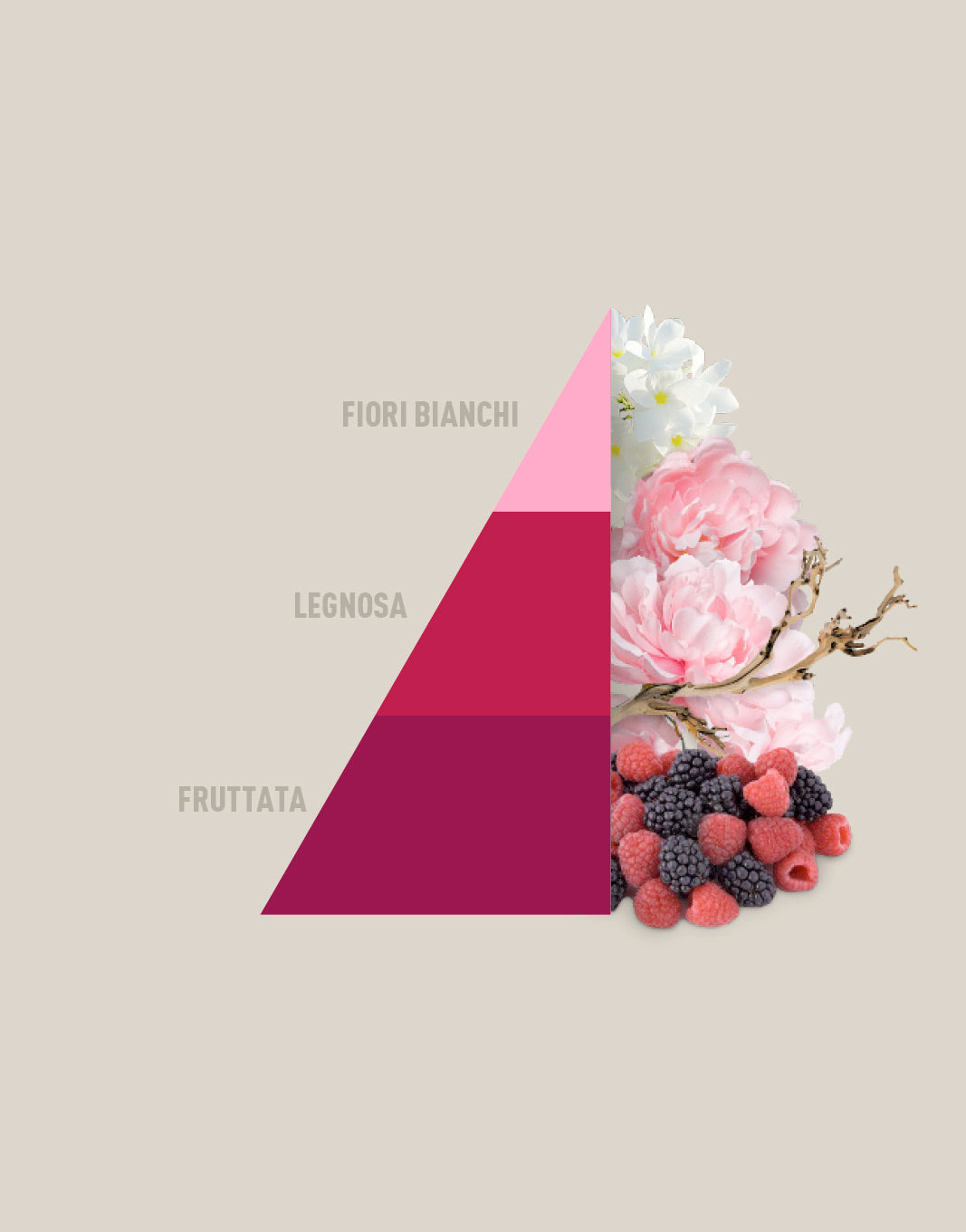 Essenza Petali di Peonia | Horomia